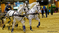 Salon de l'agriculture  -  Paris. 